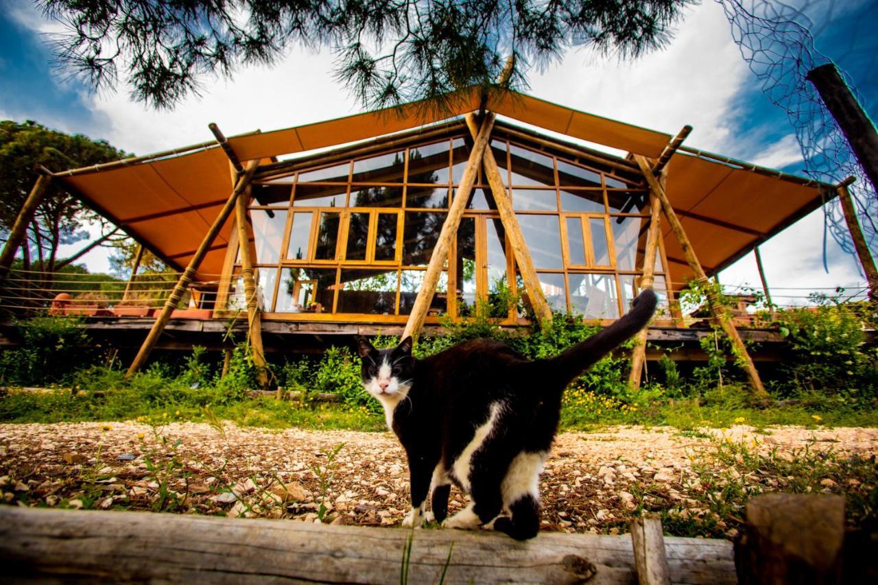 Quinta Alma - Ecological Retreat Farm Hotell Aljezur Exteriör bild